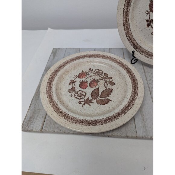 Set of 2 Homespun Stonecast Churchill Wild Strawberry 10 1/4" Dinner Plates - Picture 2 of 7
